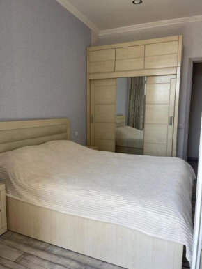 Centrally-located apartment on Tsereteli Avenue